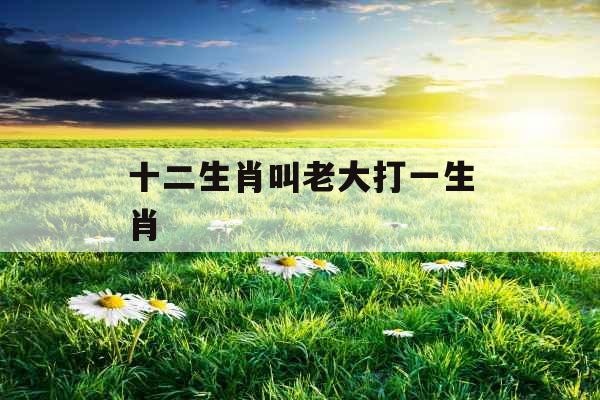 十二生肖叫老大打一生肖