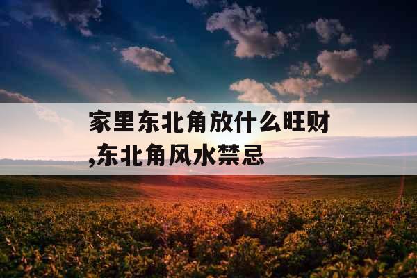 家里东北角放什么旺财,东北角风水禁忌
