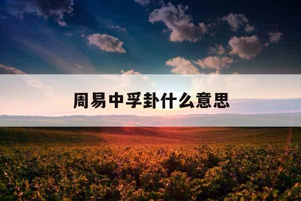 周易中孚卦什么意思 周易中孚卦什么意思