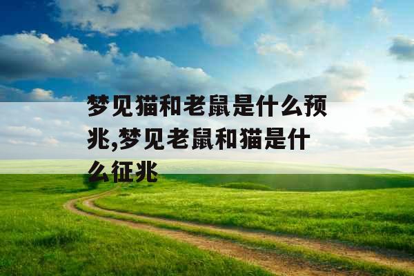 梦见猫和老鼠是什么预兆,梦见老鼠和猫是什么征兆