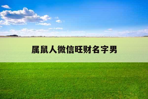 属鼠人微信旺财名字男