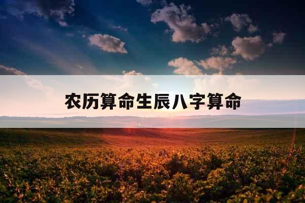 农历算命生辰八字算命