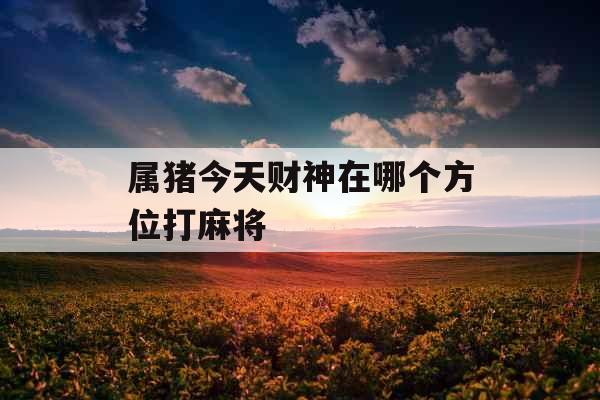 属猪今天财神在哪个方位打麻将