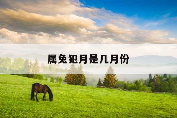 属兔犯月是几月份