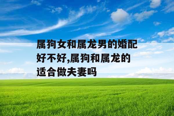 属狗女和属龙男的婚配好不好,属狗和属龙的适合做夫妻吗