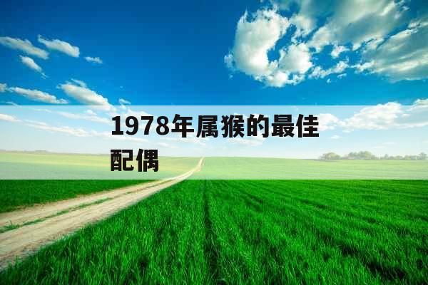 1978年属猴的最佳配偶 1978年属猴的最佳配偶