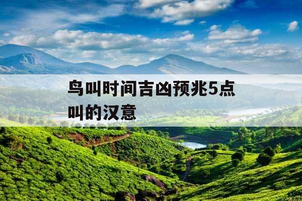 鸟叫时间吉凶预兆5点叫的汉意 鸟叫时间吉凶预兆5点叫的汉意