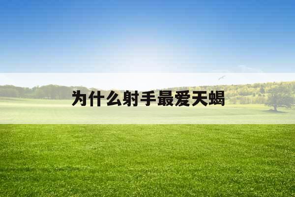 为什么射手最爱天蝎