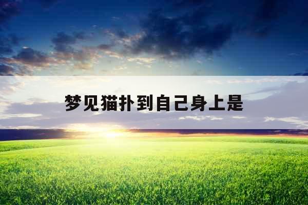 梦见猫扑到自己身上是