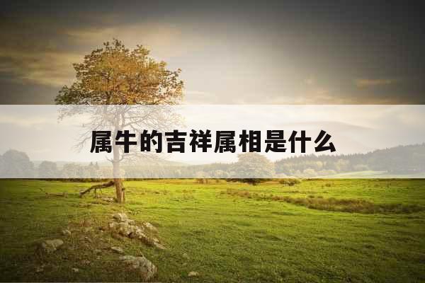 属牛的吉祥属相是什么