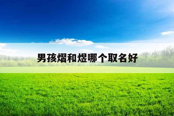 男孩熠和煜哪个取名好