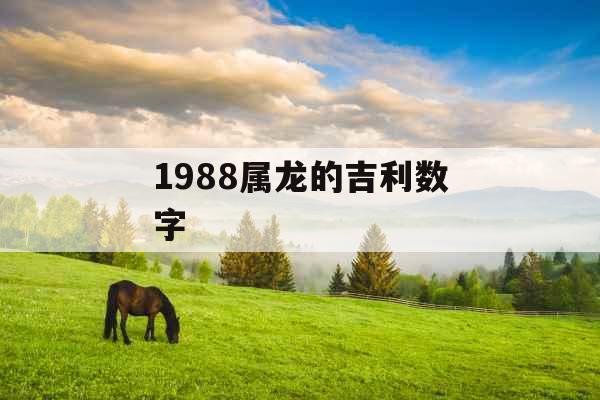 1988属龙的吉利数字