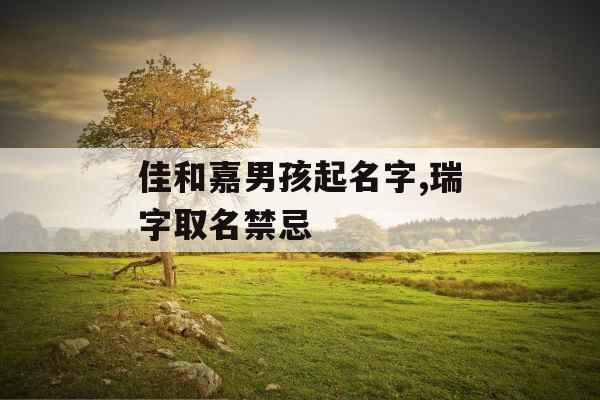 佳和嘉男孩起名字,瑞字取名禁忌 佳和嘉男孩起名字,瑞字取名禁忌