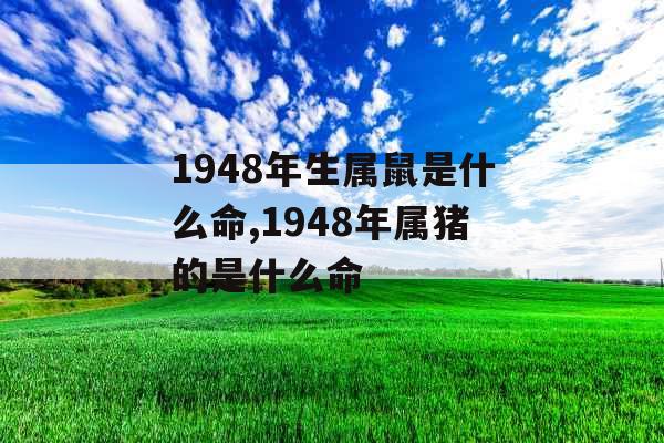 1948年生属鼠是什么命,1948年属猪的是什么命