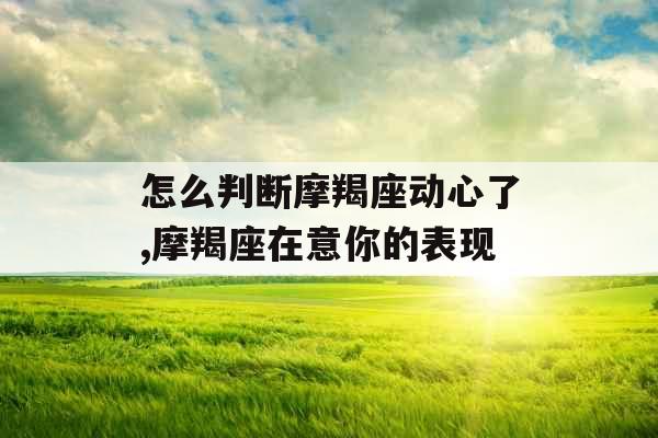 怎么判断摩羯座动心了,摩羯座在意你的表现
