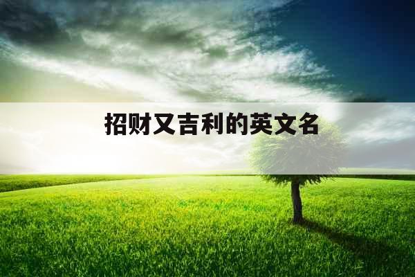  招财又吉利的英文名 