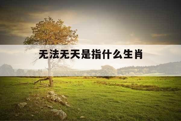 无法无天是指什么生肖 