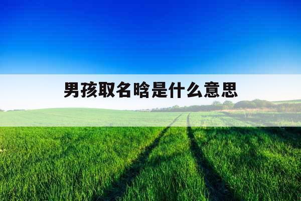 男孩取名晗是什么意思 