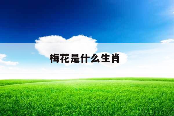 梅花是什么生肖 