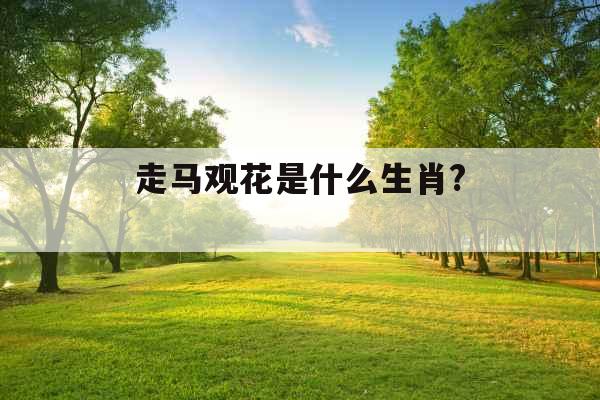 走马观花是什么生肖? 