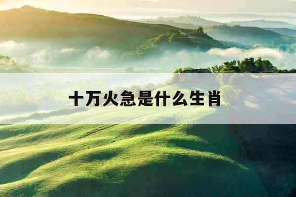 十万火急是什么生肖 