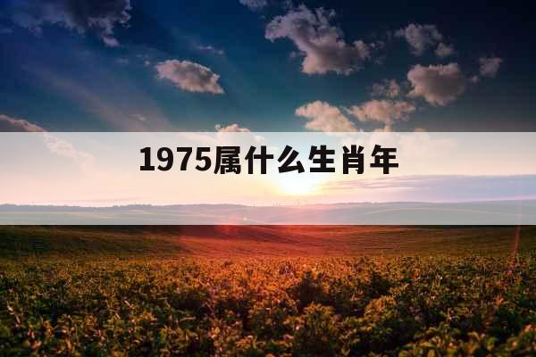 1975属什么生肖年 
