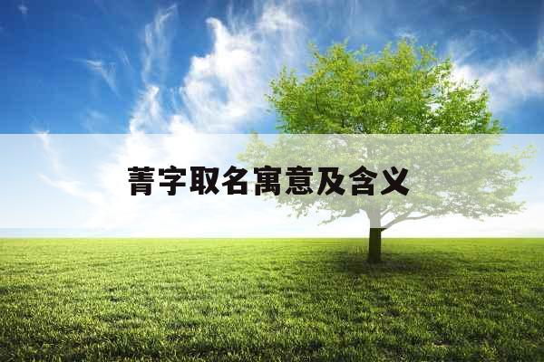 菁字取名寓意及含义 