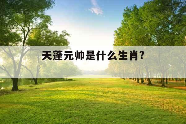 天蓬元帅是什么生肖? 