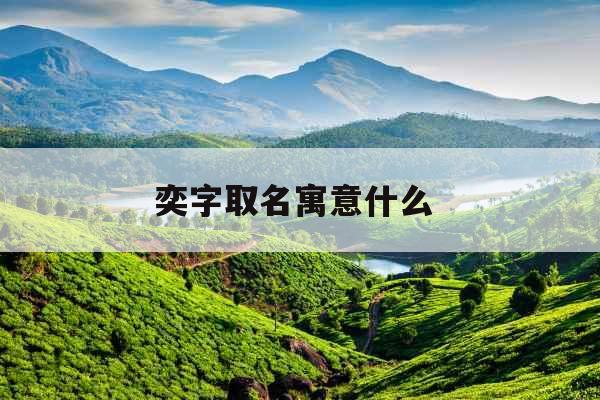 奕字取名寓意什么 