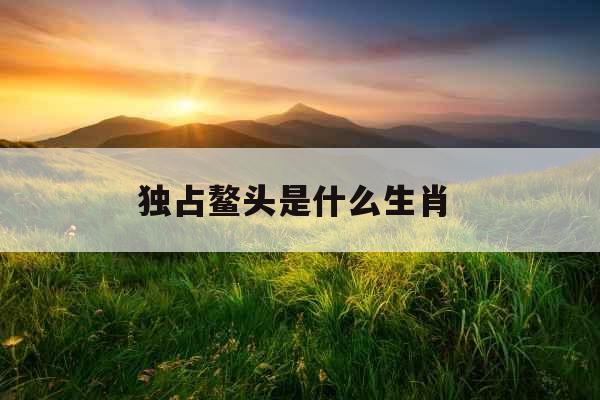 独占鳌头是什么生肖 