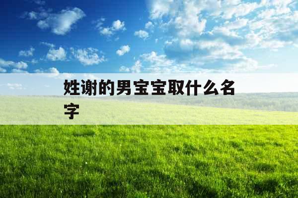 姓谢的男宝宝取什么名字 