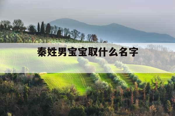 秦姓男宝宝取什么名字 