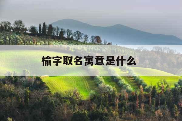 榆字取名寓意是什么 