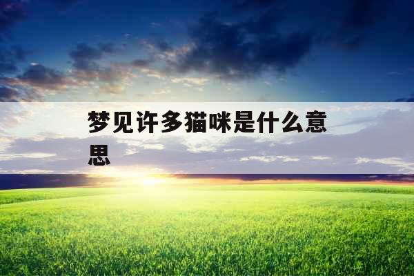 梦见许多猫咪是什么意思 