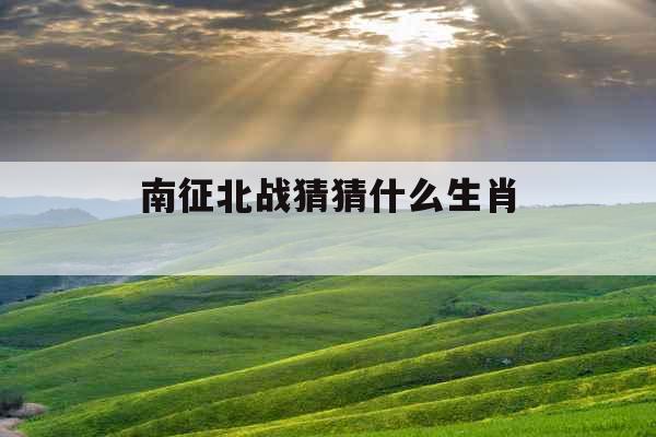 南征北战猜猜什么生肖 