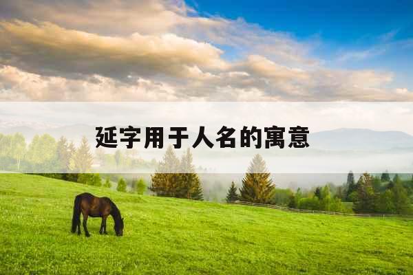 延字用于人名的寓意 