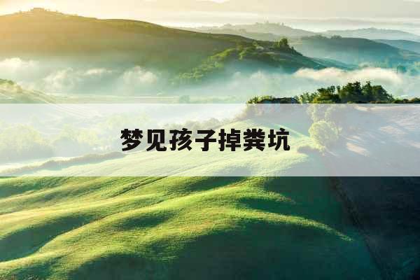 梦见孩子掉粪坑 