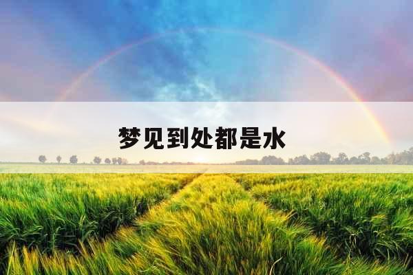 梦见到处都是水 