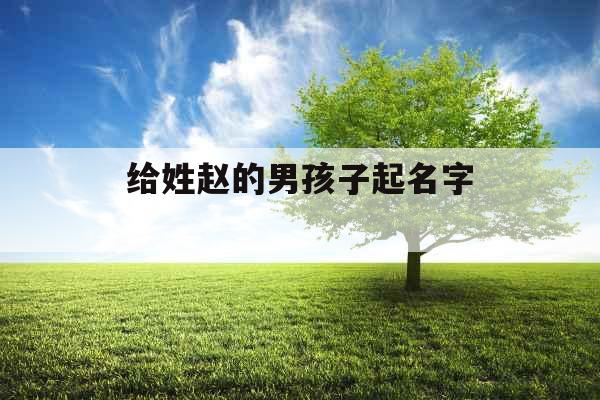 给姓赵的男孩子起名字 