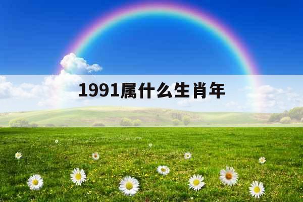 1991属什么生肖年 