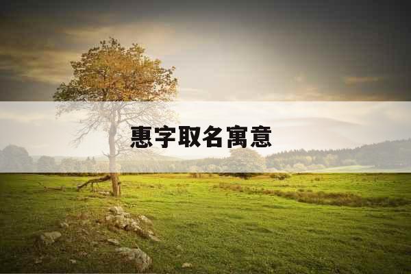 惠字取名寓意 