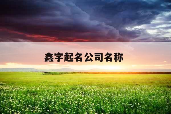 鑫字起名公司名称 