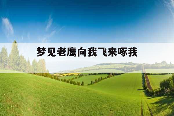 梦见老鹰向我飞来啄我 