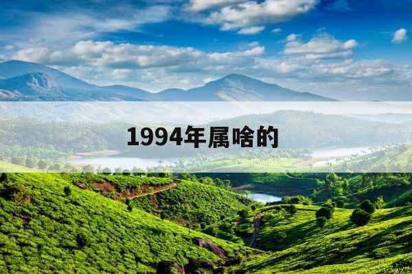 1994年属啥的 