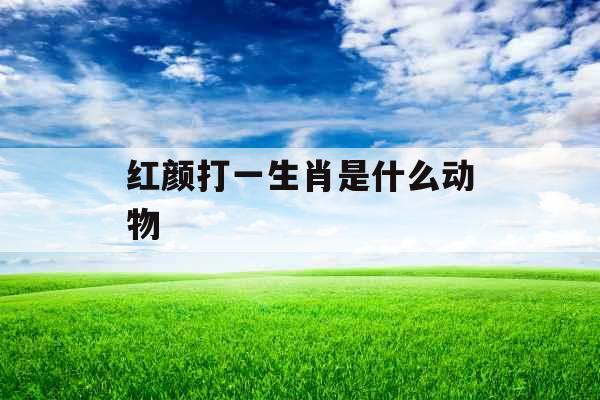 红颜打一生肖是什么动物 