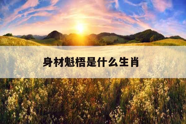 身材魁梧是什么生肖 