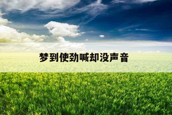 梦到使劲喊却没声音 