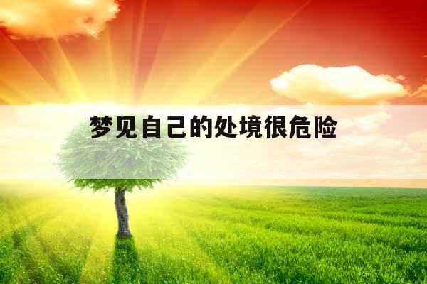 梦见自己的处境很危险 