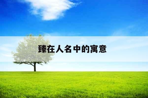 臻在人名中的寓意 