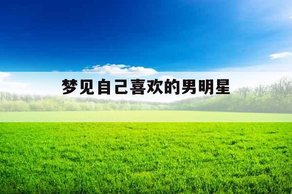 梦见自己喜欢的男明星 